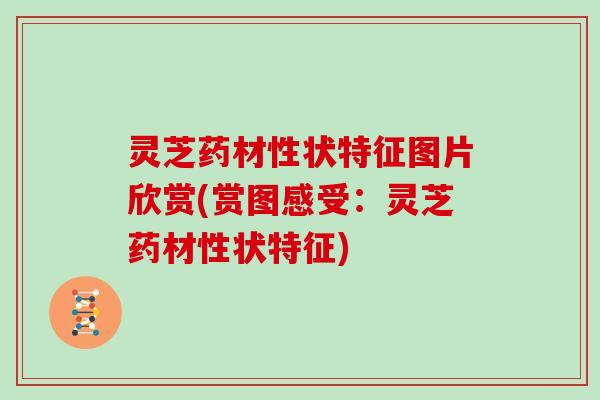 灵芝药材性状特征图片欣赏(赏图感受：灵芝药材性状特征)