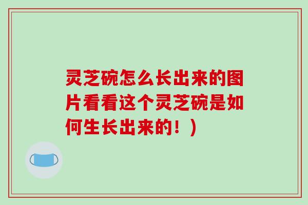灵芝碗怎么长出来的图片看看这个灵芝碗是如何生长出来的!) 灵芝碗怎么长出来的图片看看这个灵芝碗是如何生长出来的!)