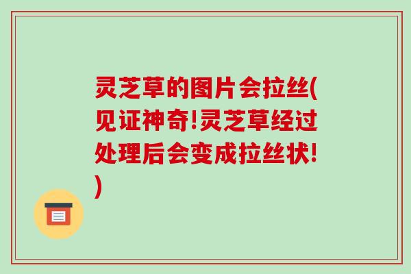 灵芝草的图片会拉丝(见证神奇!灵芝草经过处理后会变成拉丝状!)