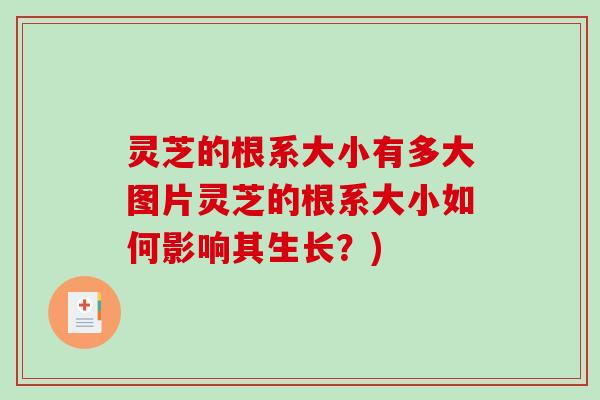 灵芝的根系大小有多大图片灵芝的根系大小如何影响其生长？)