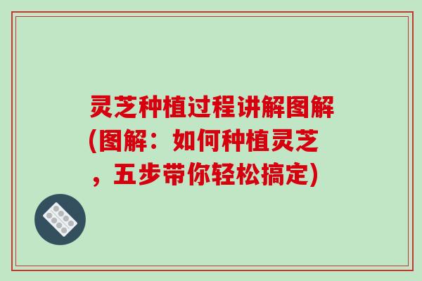 灵芝种植过程讲解图解(图解:如何种植灵芝,五步带你轻松搞定) 灵芝种植过程讲解图解(图解:如何种植灵芝,五步带你轻松搞定)
