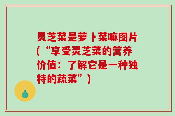 灵芝菜是萝卜菜嘛图片(“享受灵芝菜的营养价值:了解它是一种独特的蔬菜”) 灵芝菜是萝卜菜嘛图片(“享受灵芝菜的营养价值:了解它是一种独特的蔬菜”)