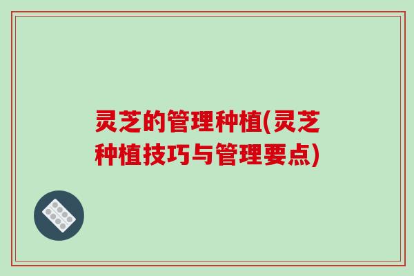 灵芝的管理种植(灵芝种植技巧与管理要点) 灵芝的管理种植(灵芝种植技巧与管理要点)