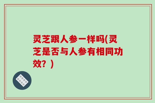 灵芝跟人参一样吗(灵芝是否与人参有相同功效?) 灵芝跟人参一样吗(灵芝是否与人参有相同功效?)
