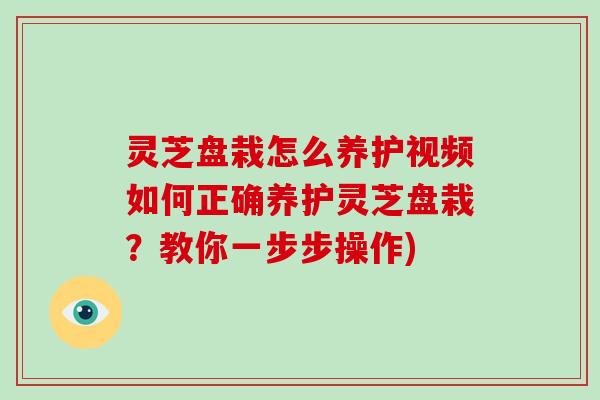 灵芝盘栽怎么养护视频如何正确养护灵芝盘栽?教你一步步操作) 灵芝盘栽怎么养护视频如何正确养护灵芝盘栽?教你一步步操作)