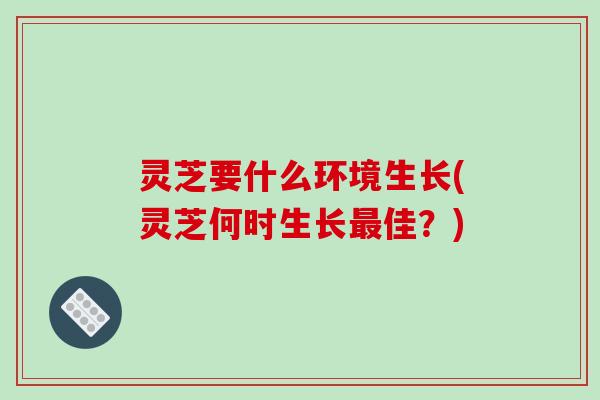 灵芝要什么环境生长(灵芝何时生长佳?) 灵芝要什么环境生长(灵芝何时生长佳?)