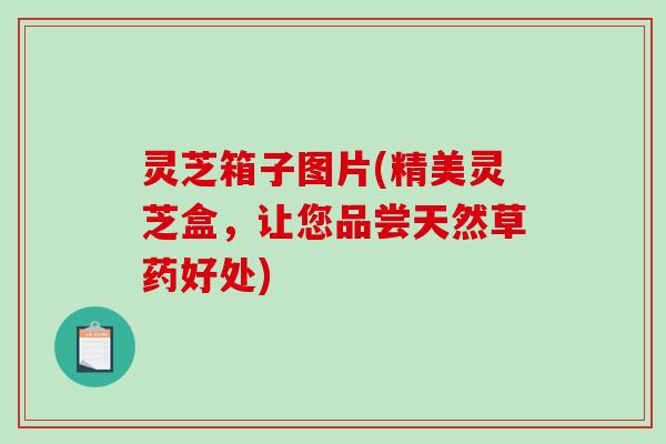 灵芝箱子图片(精美灵芝盒，让您品尝天然草药好处)