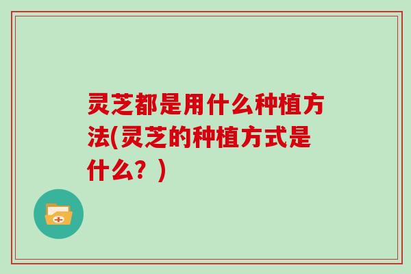 灵芝都是用什么种植方法(灵芝的种植方式是什么?) 灵芝都是用什么种植方法(灵芝的种植方式是什么?)