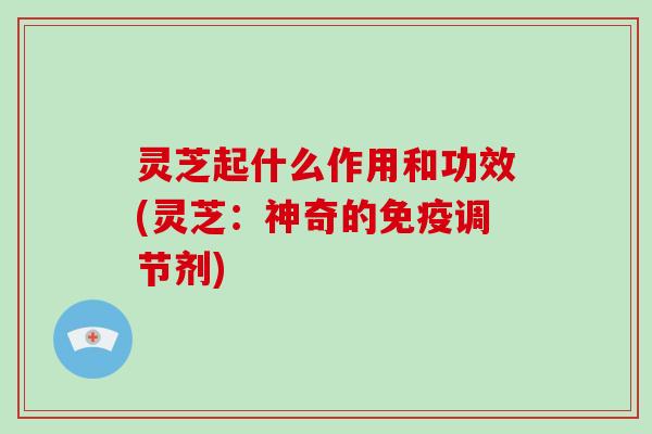 灵芝起什么作用和功效(灵芝:神奇的免疫调节剂) 灵芝起什么作用和功效(灵芝:神奇的免疫调节剂)
