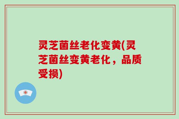 灵芝菌丝老化变黄(灵芝菌丝变黄老化,品质受损) 灵芝菌丝老化变黄(灵芝菌丝变黄老化,品质受损)