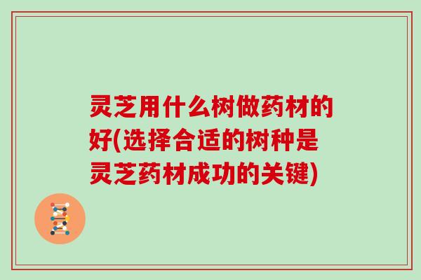 灵芝用什么树做药材的好(选择合适的树种是灵芝药材成功的关键) 灵芝用什么树做药材的好(选择合适的树种是灵芝药材成功的关键)