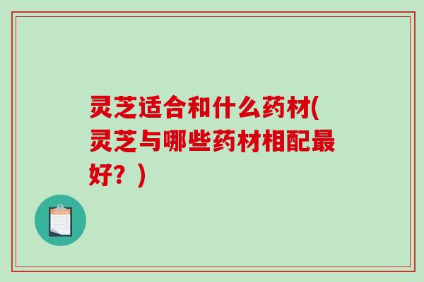 灵芝适合和什么药材(灵芝与哪些药材相配好？)