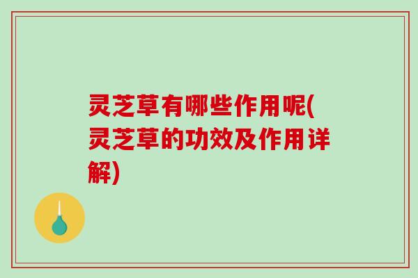 灵芝草有哪些作用呢(灵芝草的功效及作用详解) 灵芝草有哪些作用呢(灵芝草的功效及作用详解)