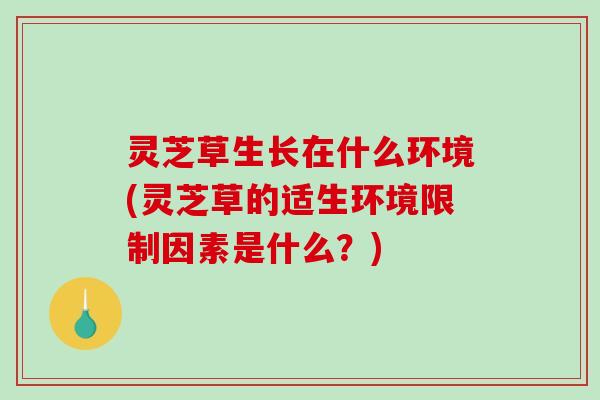 灵芝草生长在什么环境(灵芝草的适生环境限制因素是什么?) 灵芝草生长在什么环境(灵芝草的适生环境限制因素是什么?)