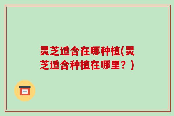 灵芝适合在哪种植(灵芝适合种植在哪里?) 灵芝适合在哪种植(灵芝适合种植在哪里?)