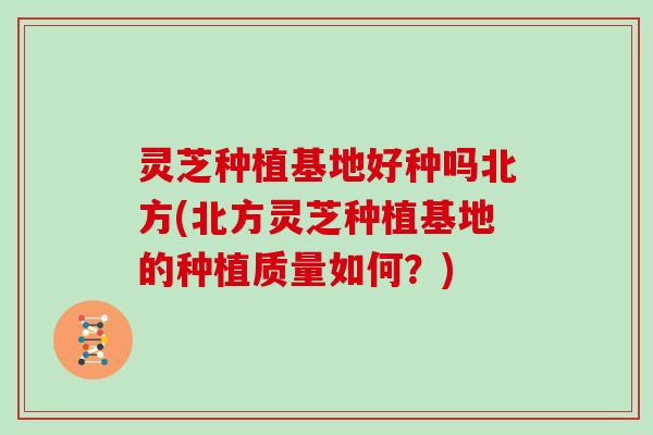 灵芝种植基地好种吗北方(北方灵芝种植基地的种植质量如何？)