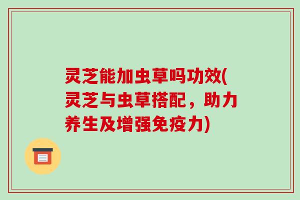 灵芝能加虫草吗功效(灵芝与虫草搭配,助力养生及增强免疫力) 灵芝能加虫草吗功效(灵芝与虫草搭配,助力养生及增强免疫力)