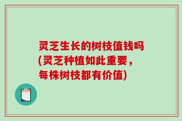 灵芝生长的树枝值钱吗(灵芝种植如此重要，每株树枝都有价值)