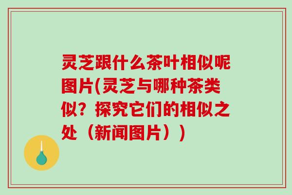 灵芝跟什么茶叶相似呢图片(灵芝与哪种茶类似？探究它们的相似之处（新闻图片）)