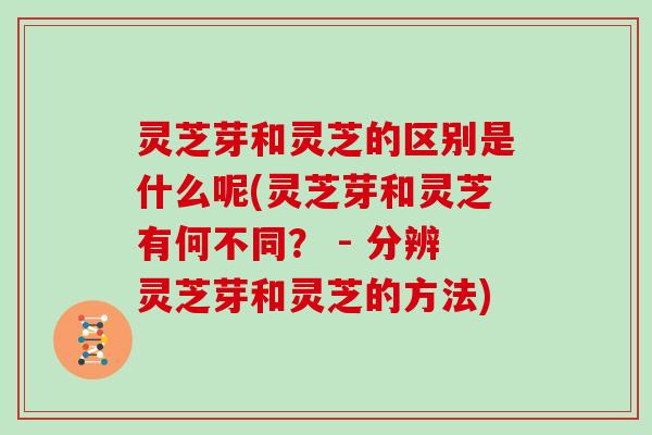 灵芝芽和灵芝的区别是什么呢(灵芝芽和灵芝有何不同? - 分辨灵芝芽和灵芝的方法) 灵芝芽和灵芝的区别是什么呢(灵芝芽和灵芝有何不同? - 分辨灵芝芽和灵芝的方法)
