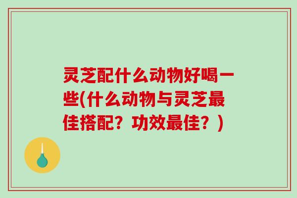 灵芝配什么动物好喝一些(什么动物与灵芝最佳搭配？功效最佳？)