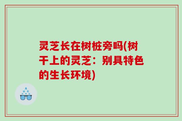 灵芝长在树桩旁吗(树干上的灵芝：别具特色的生长环境)