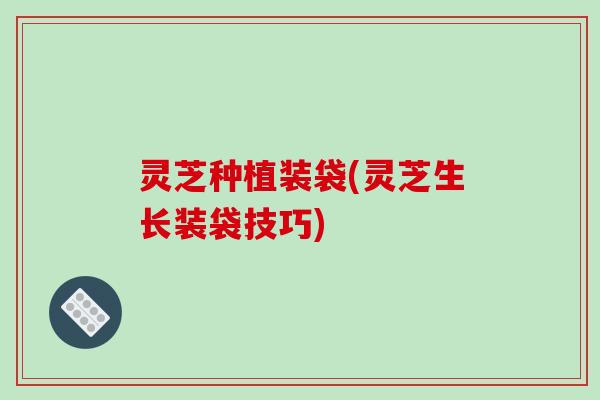 灵芝种植装袋(灵芝生长装袋技巧)