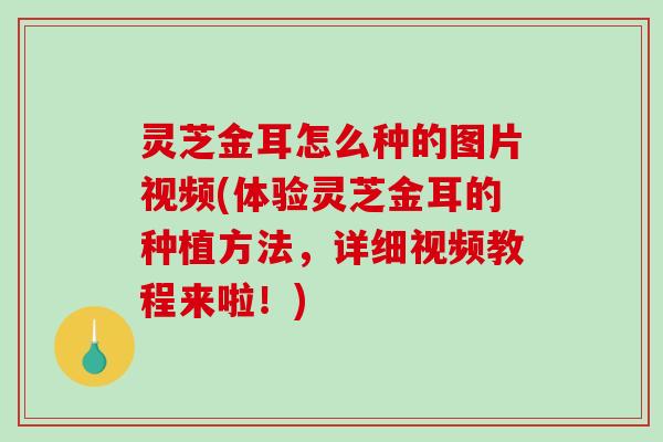 灵芝金耳怎么种的图片视频(体验灵芝金耳的种植方法，详细视频教程来啦！)