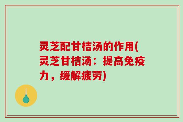 灵芝配甘桔汤的作用(灵芝甘桔汤:提高免疫力,缓解疲劳) 灵芝配甘桔汤的作用(灵芝甘桔汤:提高免疫力,缓解疲劳)