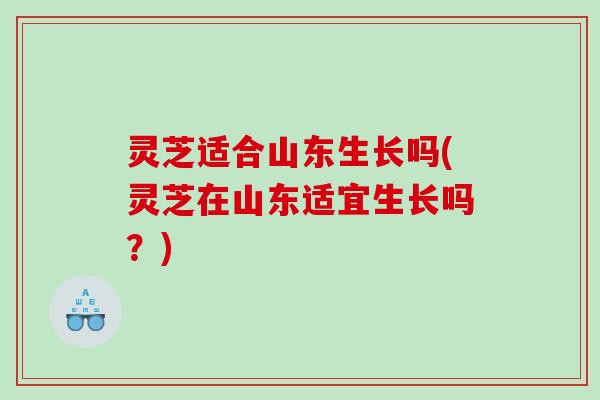 灵芝适合山东生长吗(灵芝在山东适宜生长吗？)