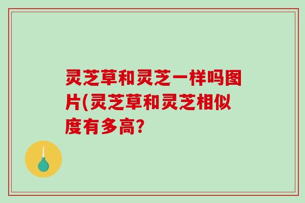 灵芝草和灵芝一样吗图片(灵芝草和灵芝相似度有多高? 灵芝草和灵芝一样吗图片(灵芝草和灵芝相似度有多高?