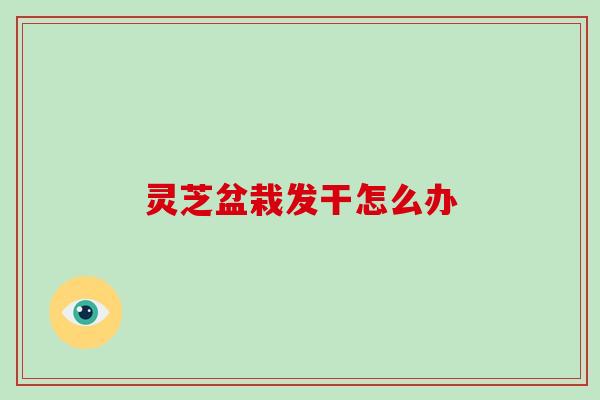 灵芝盆栽发干怎么办 灵芝盆栽发干怎么办