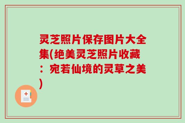 灵芝照片保存图片大全集(绝美灵芝照片收藏:宛若仙境的灵草之美) 灵芝照片保存图片大全集(绝美灵芝照片收藏:宛若仙境的灵草之美)