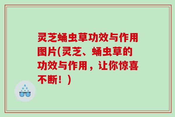 灵芝蛹虫草功效与作用图片(灵芝、蛹虫草的功效与作用,让你惊喜不断!) 灵芝蛹虫草功效与作用图片(灵芝、蛹虫草的功效与作用,让你惊喜不断!)