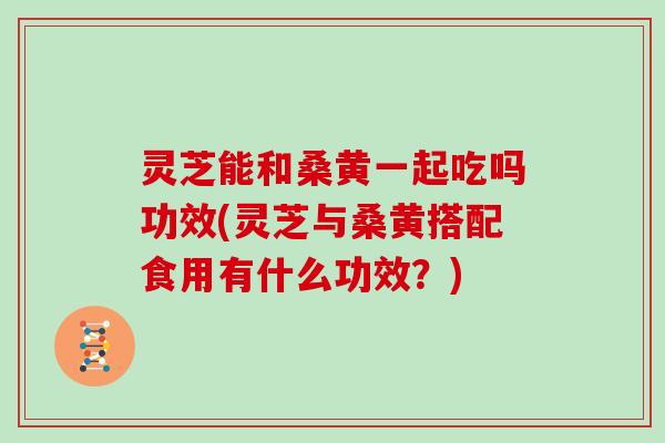 灵芝能和桑黄一起吃吗功效(灵芝与桑黄搭配食用有什么功效？)