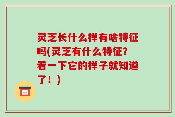 灵芝长什么样有啥特征吗(灵芝有什么特征？看一下它的样子就知道了！)
