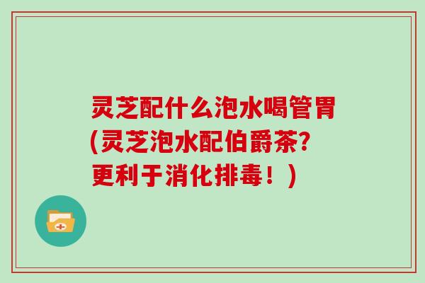 灵芝配什么泡水喝管胃(灵芝泡水配伯爵茶?更利于消化!) 灵芝配什么泡水喝管胃(灵芝泡水配伯爵茶?更利于消化!)