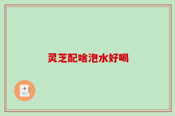 灵芝配啥泡水好喝