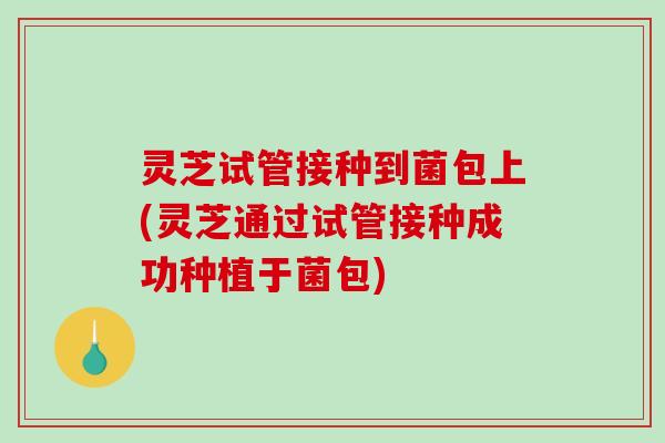 灵芝试管接种到菌包上(灵芝通过试管接种成功种植于菌包)