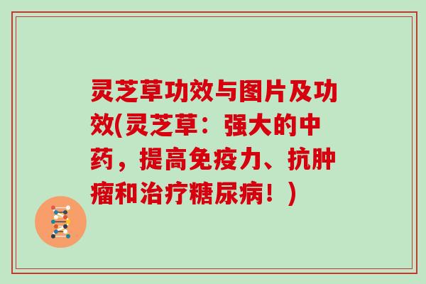 灵芝草功效与图片及功效(灵芝草:强大的,提高免疫力、抗和!) 灵芝草功效与图片及功效(灵芝草:强大的,提高免疫力、抗和!)
