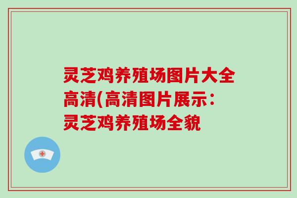 灵芝鸡养殖场图片大全高清(高清图片展示:灵芝鸡养殖场全貌 灵芝鸡养殖场图片大全高清(高清图片展示:灵芝鸡养殖场全貌