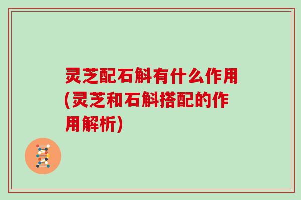 灵芝配石斛有什么作用(灵芝和石斛搭配的作用解析)