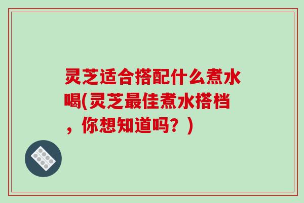 灵芝适合搭配什么煮水喝(灵芝佳煮水搭档,你想知道吗?) 灵芝适合搭配什么煮水喝(灵芝佳煮水搭档,你想知道吗?)