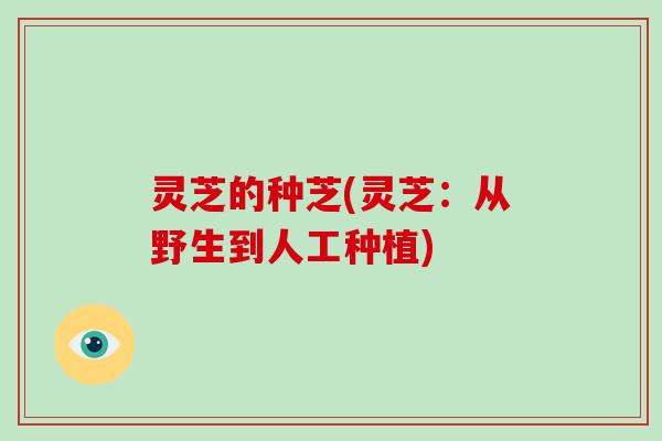 灵芝的种芝(灵芝：从野生到人工种植)