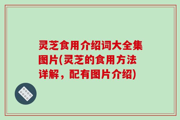 灵芝食用介绍词大全集图片(灵芝的食用方法详解,配有图片介绍) 灵芝食用介绍词大全集图片(灵芝的食用方法详解,配有图片介绍)