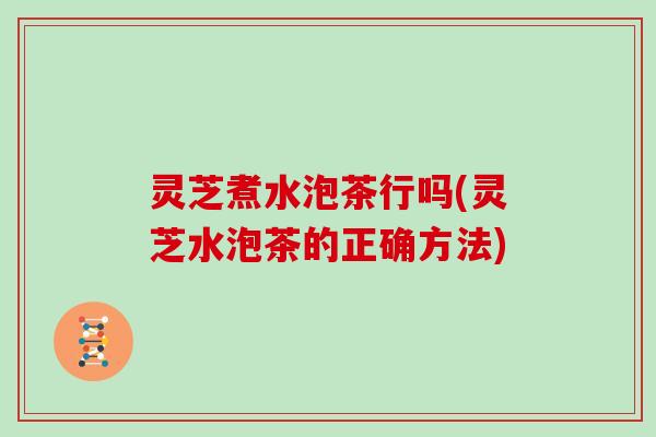 灵芝煮水泡茶行吗(灵芝水泡茶的正确方法) 灵芝煮水泡茶行吗(灵芝水泡茶的正确方法)