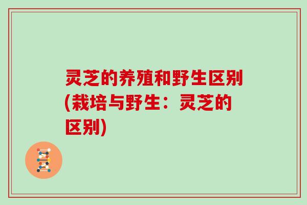 灵芝的养殖和野生区别(栽培与野生:灵芝的区别) 灵芝的养殖和野生区别(栽培与野生:灵芝的区别)