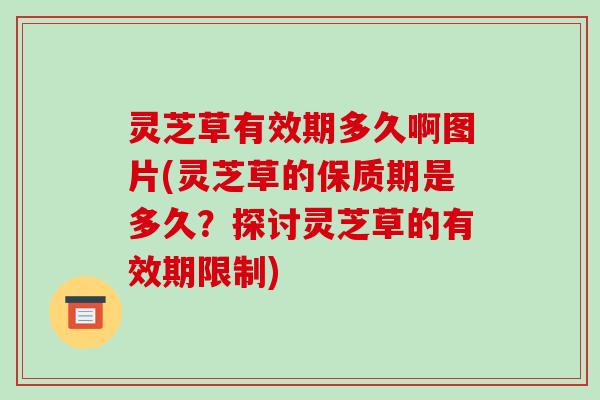灵芝草有效期多久啊图片(灵芝草的保质期是多久？探讨灵芝草的有效期限制)