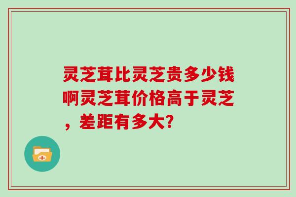 灵芝茸比灵芝贵多少钱啊灵芝茸价格高于灵芝，差距有多大？