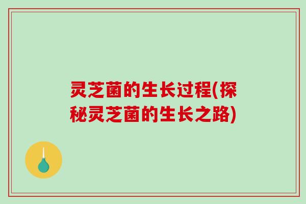灵芝菌的生长过程(探秘灵芝菌的生长之路) 灵芝菌的生长过程(探秘灵芝菌的生长之路)